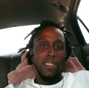 Meet your Posher, Sylvester